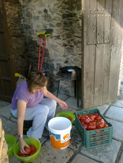 Pelando tomates para conservas. Valdelarco 2011. Pelando tomates para conservas. Valdelarco 2011.