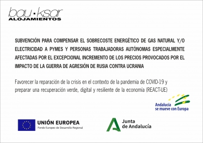 AYUDAS DE LA UNION EUROPEA